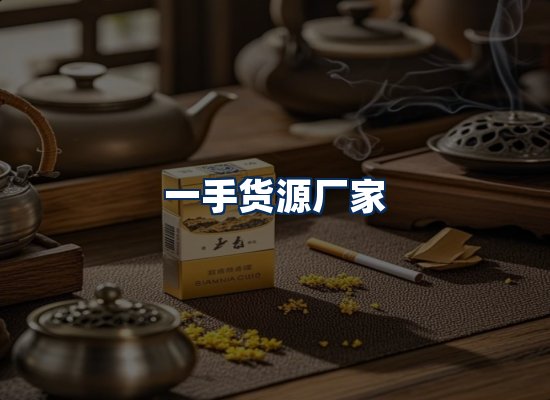 专业团队办公环境
